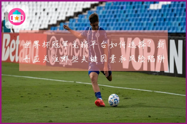 世界杯冠军竞猜平台如何选择？新手应关注哪些关键因素和风险陷阱