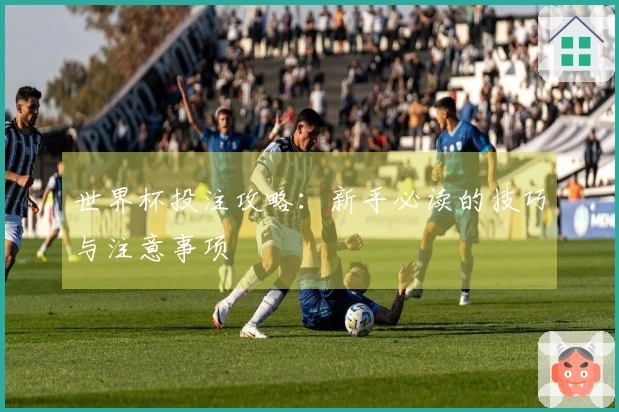 世界杯投注攻略：新手必读的技巧与注意事项