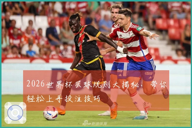 2026世界杯买球规则大揭秘，带你轻松上手投注技巧