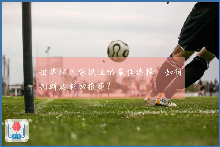 世界杯买球投注的最佳选择：如何判断购彩回报率？