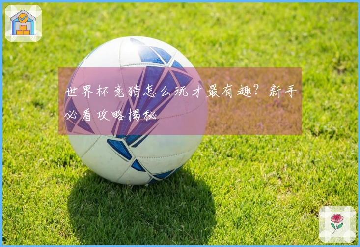 世界杯竞猜怎么玩才最有趣？新手必看攻略揭秘