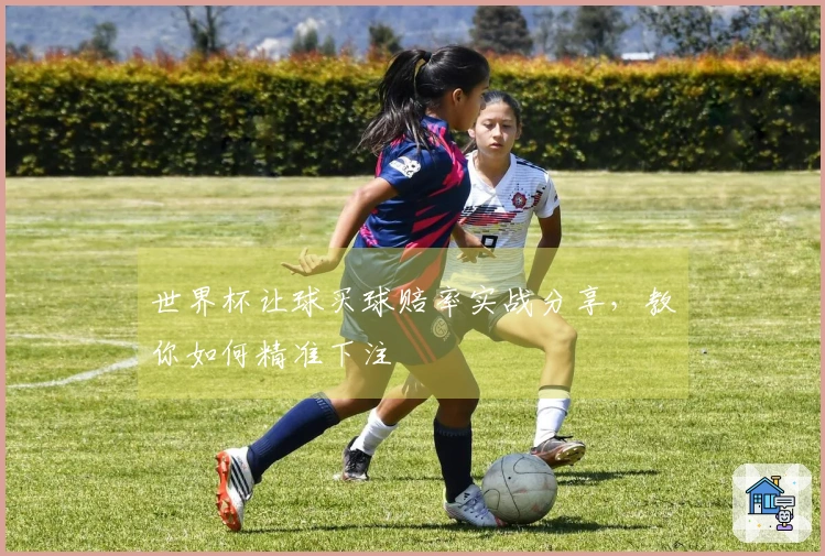世界杯让球买球赔率实战分享，教你如何精准下注