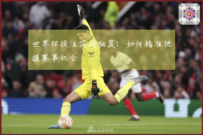 世界杯投注实战秘笈:如何精准把握赛事机会