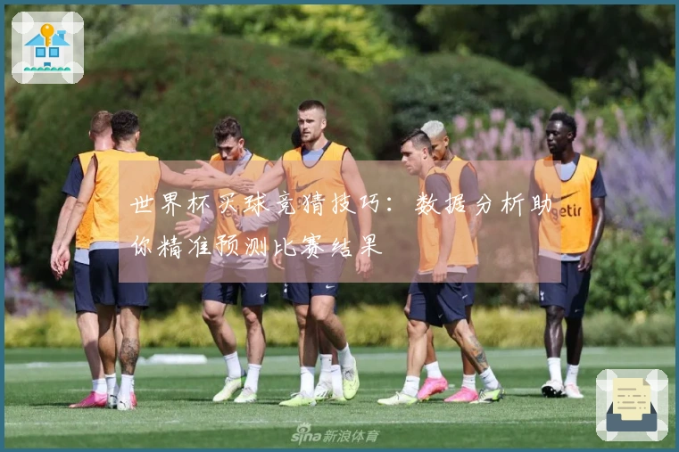 世界杯买球竞猜技巧：数据分析助你精准预测比赛结果