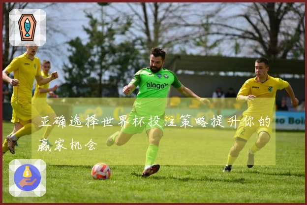 正确选择世界杯投注策略提升你的赢家机会
