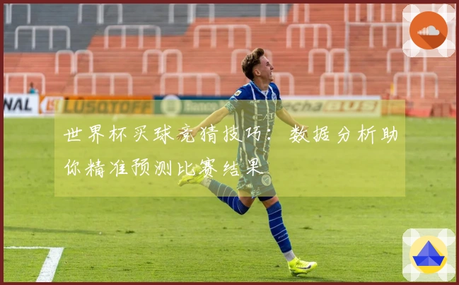 世界杯买球竞猜技巧：数据分析助你精准预测比赛结果