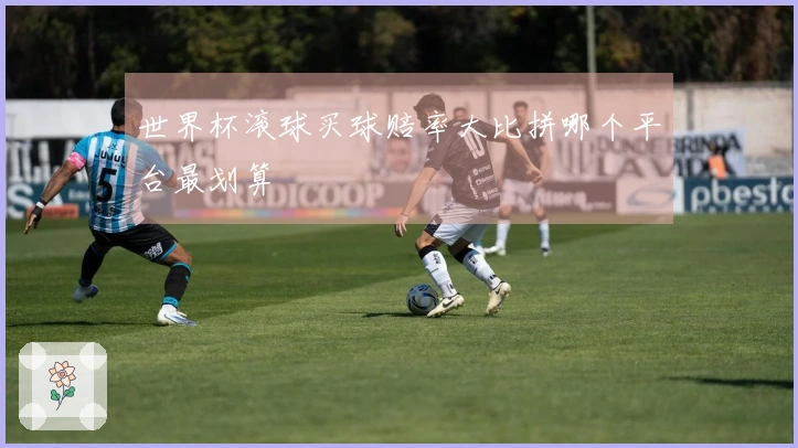 世界杯滚球买球赔率大比拼哪个平台最划算