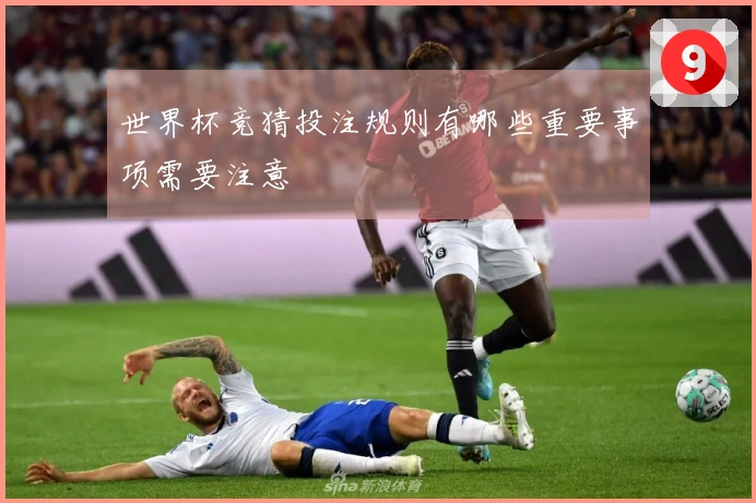 世界杯竞猜投注规则有哪些重要事项需要注意