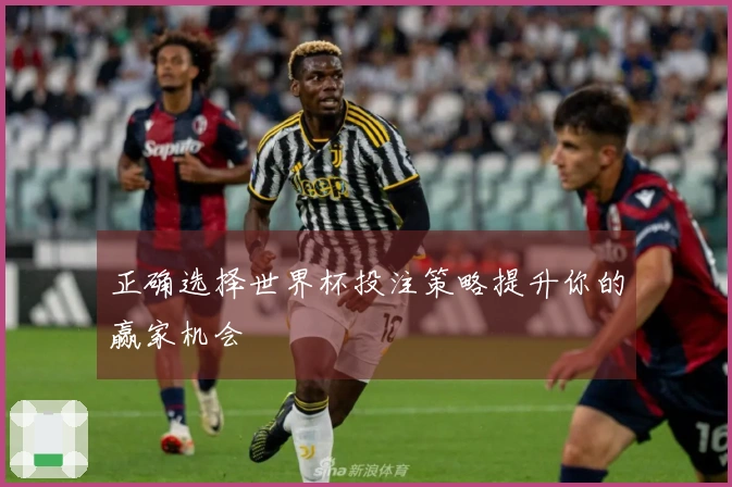 正确选择世界杯投注策略提升你的赢家机会