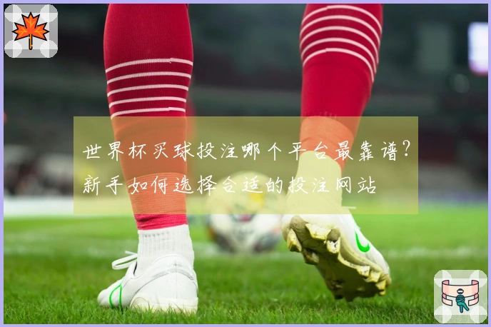 世界杯买球投注哪个平台最靠谱？新手如何选择合适的投注网站