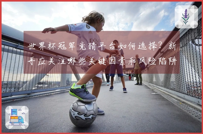 世界杯冠军竞猜平台如何选择？新手应关注哪些关键因素和风险陷阱
