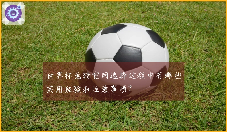世界杯竞猜官网选择过程中有哪些实用经验和注意事项？
