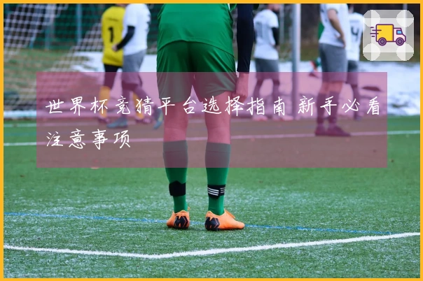 世界杯竞猜平台选择指南 新手必看注意事项