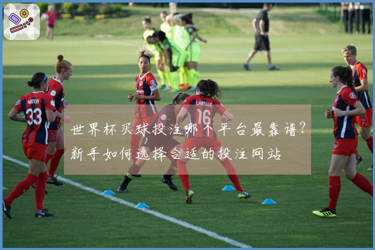 世界杯买球投注哪个平台最靠谱？新手如何选择合适的投注网站